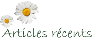 Articles récents